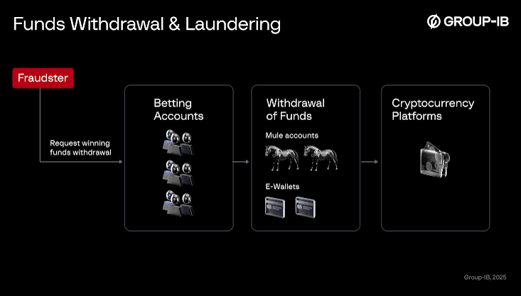 What Makes Puasbet a Trusted Choice for Many Users
